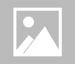 PG游戏-关于Rookie回归赛场，连败首场状态亮眼，快船观众沸腾！的信息